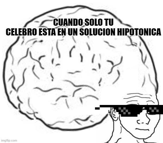 Big Brain | CUANDO SOLO TU CELEBRO ESTA EN UN SOLUCION HIPOTONICA | image tagged in big brain | made w/ Imgflip meme maker