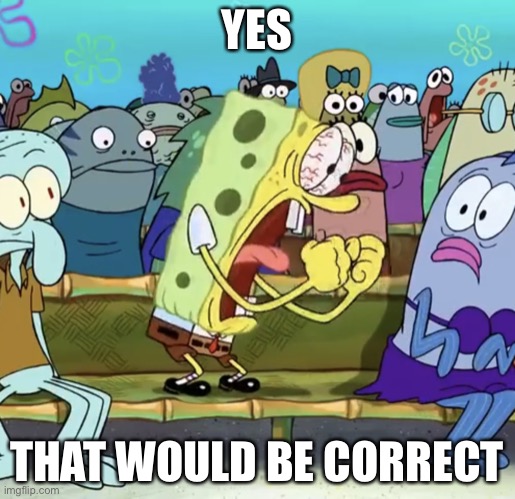 Spongebob Yelling | YES THAT WOULD BE CORRECT | image tagged in spongebob yelling | made w/ Imgflip meme maker