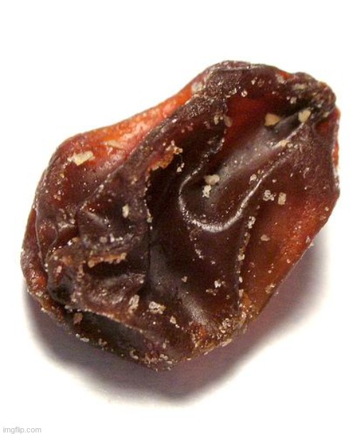 Raisin | image tagged in raisin | made w/ Imgflip meme maker