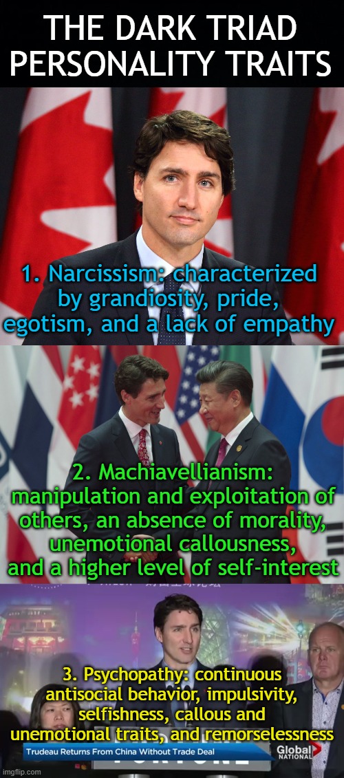 the dark triad personality traits |  THE DARK TRIAD PERSONALITY TRAITS; 1. Narcissism: characterized by grandiosity, pride, egotism, and a lack of empathy; 2. Machiavellianism: manipulation and exploitation of others, an absence of morality, unemotional callousness, and a higher level of self-interest; 3. Psychopathy: continuous antisocial behavior, impulsivity, selfishness, callous and unemotional traits, and remorselessness | image tagged in black background,justin trudeau | made w/ Imgflip meme maker