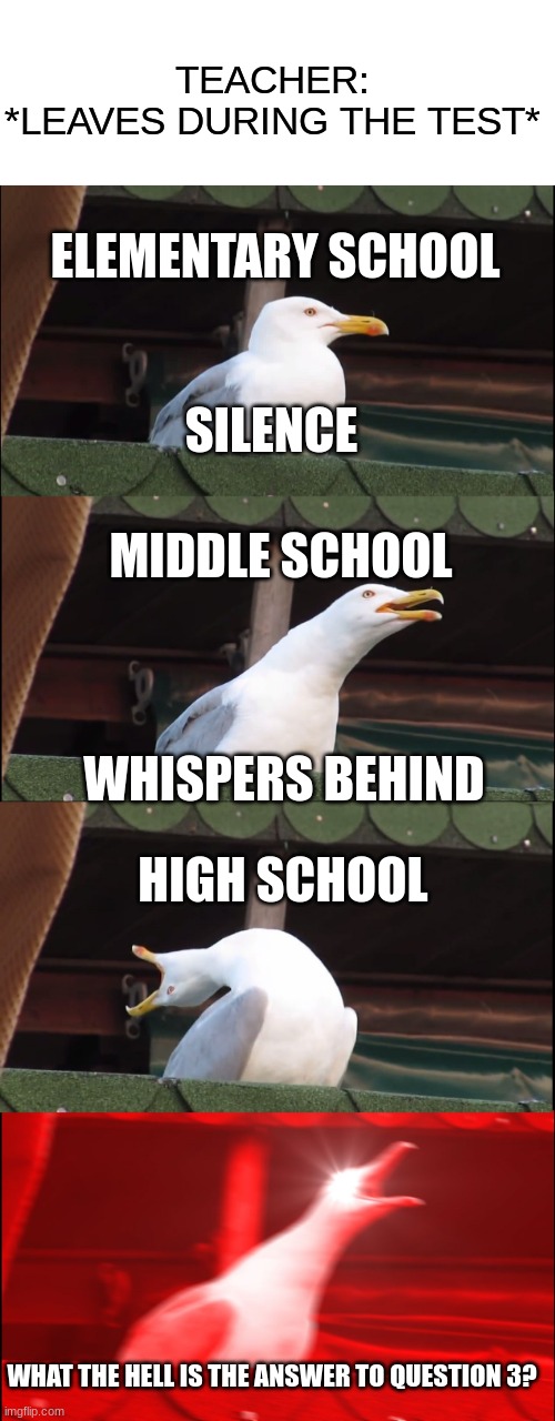 smort title | TEACHER:
*LEAVES DURING THE TEST*; ELEMENTARY SCHOOL; SILENCE; MIDDLE SCHOOL; WHISPERS BEHIND; HIGH SCHOOL; WHAT THE HELL IS THE ANSWER TO QUESTION 3? | image tagged in memes,inhaling seagull | made w/ Imgflip meme maker