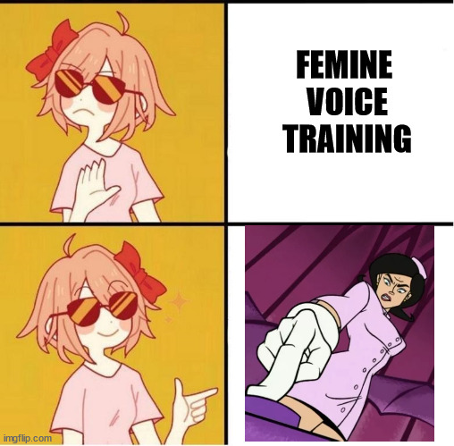 Realistic transition goals format | FEMINE 
VOICE
TRAINING | image tagged in realistic transition goals format | made w/ Imgflip meme maker