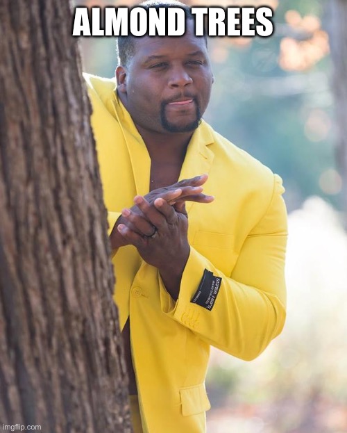 Anthony Adams Rubbing Hands | ALMOND TREES | image tagged in anthony adams rubbing hands | made w/ Imgflip meme maker