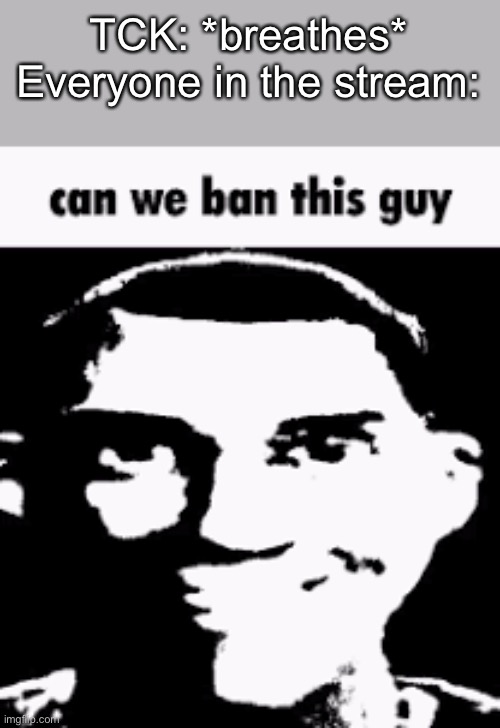 Can we ban this guy | TCK: *breathes*
Everyone in the stream: | image tagged in can we ban this guy | made w/ Imgflip meme maker