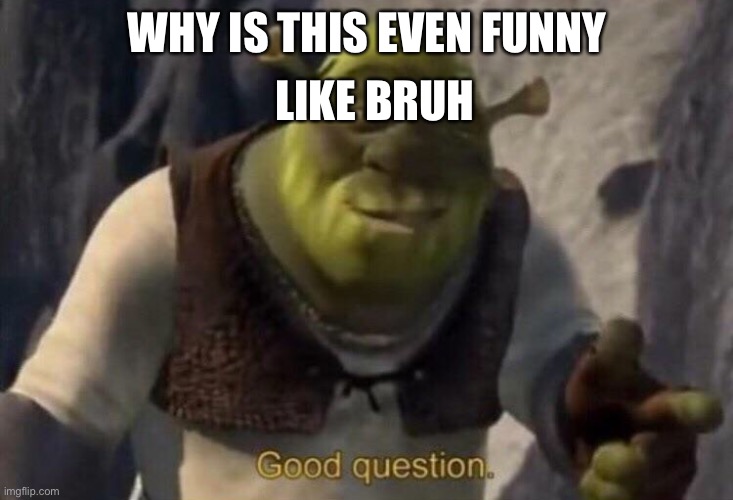 Shrek good question | WHY IS THIS EVEN FUNNY LIKE BRUH | image tagged in shrek good question | made w/ Imgflip meme maker