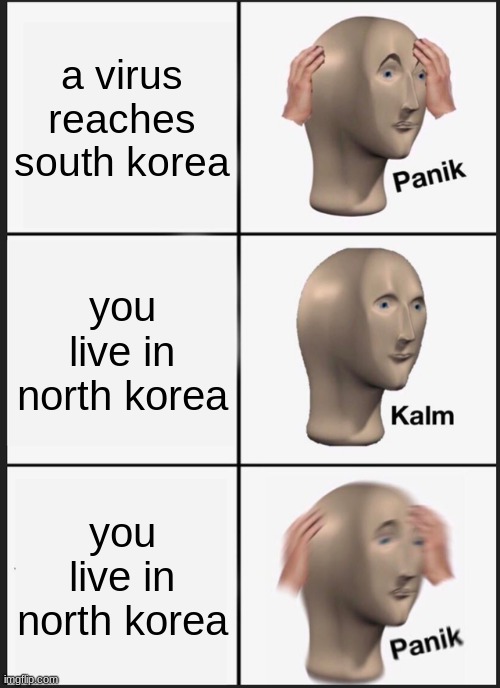 virus | a virus reaches south korea; you live in north korea; you live in north korea | image tagged in memes,panik kalm panik | made w/ Imgflip meme maker