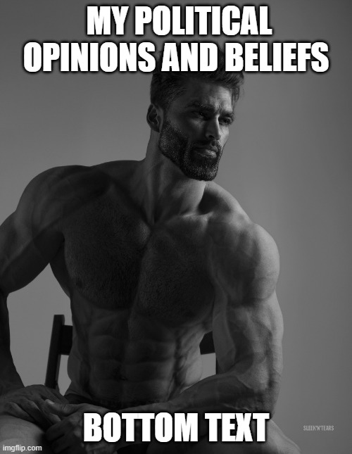 Giga Chad | MY POLITICAL OPINIONS AND BELIEFS; BOTTOM TEXT | image tagged in giga chad | made w/ Imgflip meme maker