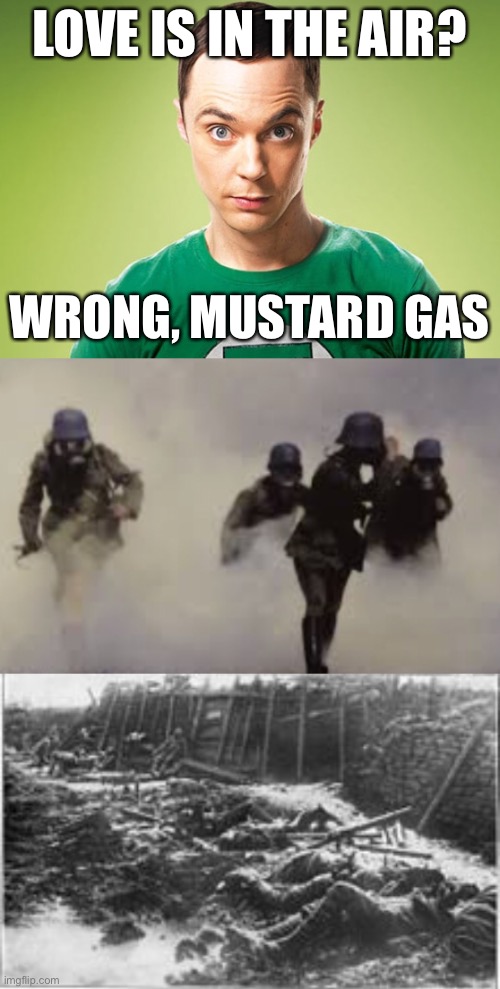 LOVE IS IN THE AIR? WRONG, MUSTARD GAS | image tagged in sheldon cooper | made w/ Imgflip meme maker