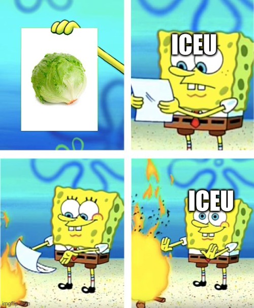 iceu | ICEU; ICEU | image tagged in spongebob burning paper | made w/ Imgflip meme maker
