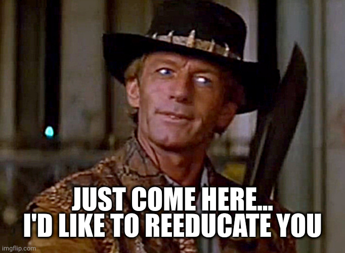 Crocodile Dundee Knife | JUST COME HERE... I'D LIKE TO REEDUCATE YOU | image tagged in crocodile dundee knife | made w/ Imgflip meme maker