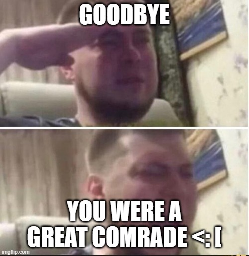 Crying salute | GOODBYE YOU WERE A GREAT COMRADE <: [ | image tagged in crying salute | made w/ Imgflip meme maker
