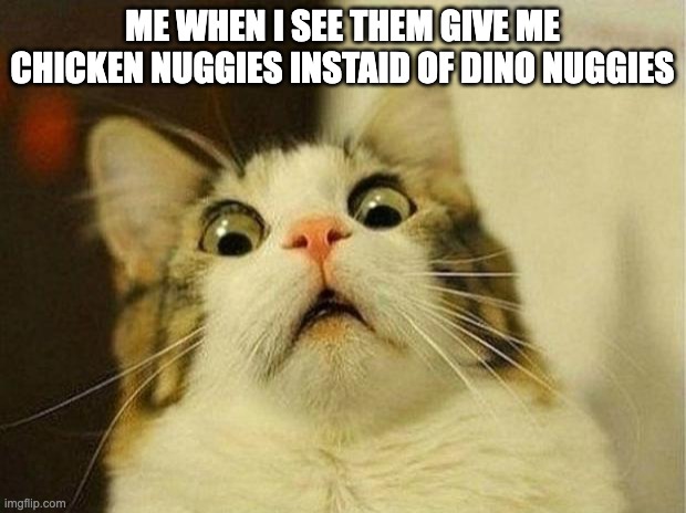 me | ME WHEN I SEE THEM GIVE ME CHICKEN NUGGIES INSTAID OF DINO NUGGIES | image tagged in memes,scared cat | made w/ Imgflip meme maker