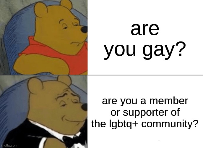 The proper way | are you gay? are you a member or supporter of the lgbtq+ community? | image tagged in memes,tuxedo winnie the pooh,gay,lgbtq | made w/ Imgflip meme maker
