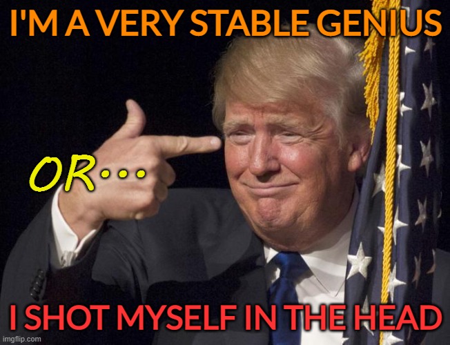 Trump Loser | I'M A VERY STABLE GENIUS I SHOT MYSELF IN THE HEAD OR... | image tagged in trump loser | made w/ Imgflip meme maker