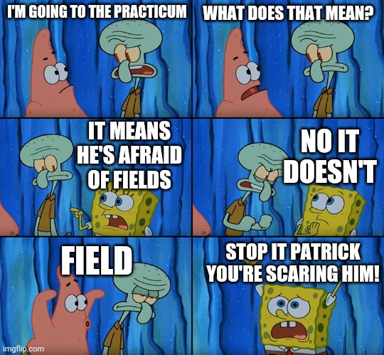 Stop it, Patrick! You're Scaring Him! | I'M GOING TO THE PRACTICUM; WHAT DOES THAT MEAN? NO IT DOESN'T; IT MEANS HE'S AFRAID OF FIELDS; STOP IT PATRICK YOU'RE SCARING HIM! FIELD | image tagged in stop it patrick you're scaring him | made w/ Imgflip meme maker