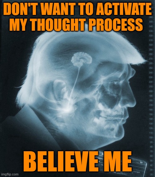 trump's brain | DON'T WANT TO ACTIVATE MY THOUGHT PROCESS BELIEVE ME | image tagged in trump's brain | made w/ Imgflip meme maker