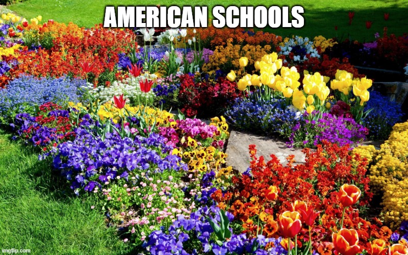 Flower garden  | AMERICAN SCHOOLS | image tagged in flower garden | made w/ Imgflip meme maker