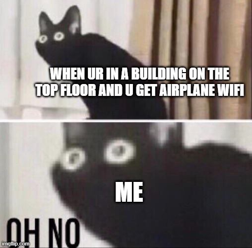 9/11 again | WHEN UR IN A BUILDING ON THE TOP FLOOR AND U GET AIRPLANE WIFI; ME | image tagged in oh no cat | made w/ Imgflip meme maker