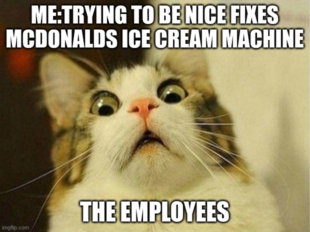 Scared Cat Meme | ME:TRYING TO BE NICE FIXES MCDONALDS ICE CREAM MACHINE; THE EMPLOYEES | image tagged in memes,scared cat | made w/ Imgflip meme maker