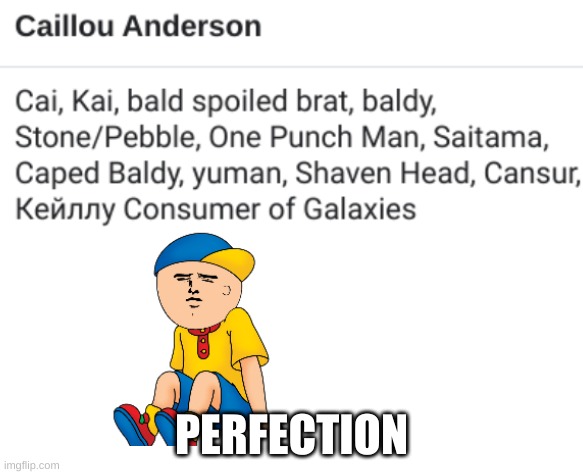 One Punch Man 2025 be like | PERFECTION | image tagged in caillou consumer of galaxies | made w/ Imgflip meme maker