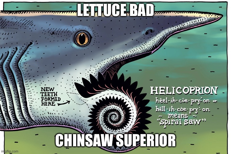 Overthrow lettuce, chinsaw supremacy | LETTUCE BAD; CHINSAW SUPERIOR | image tagged in chinsaw meaning | made w/ Imgflip meme maker