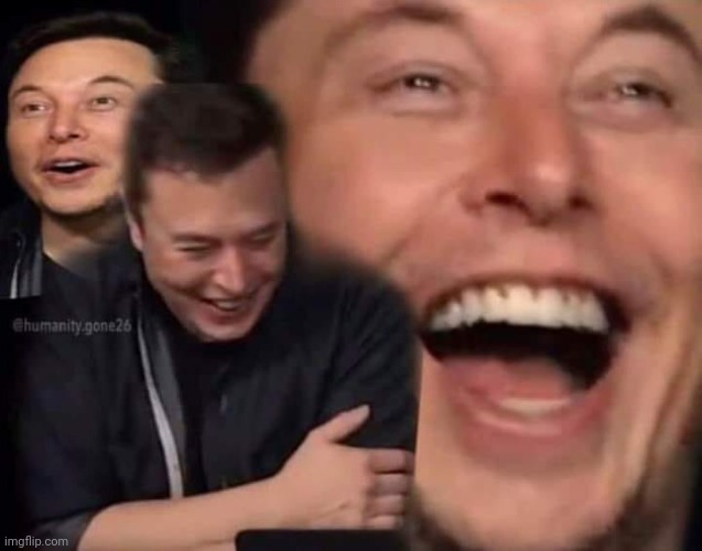 Laughing Elon | image tagged in laughing elon | made w/ Imgflip meme maker