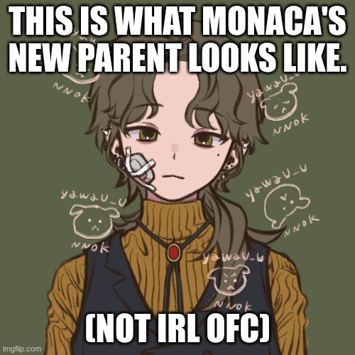 Ray S-M | THIS IS WHAT MONACA'S NEW PARENT LOOKS LIKE. (NOT IRL OFC) | image tagged in ray s-m,danganronpa | made w/ Imgflip meme maker