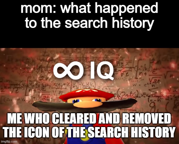 Infinite IQ Mario | mom: what happened to the search history ME WHO CLEARED AND REMOVED THE ICON OF THE SEARCH HISTORY | image tagged in infinite iq mario | made w/ Imgflip meme maker