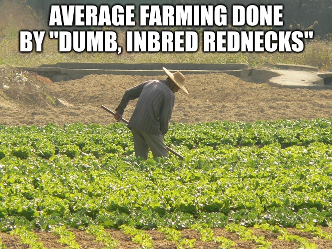 it's not too much, but it's hard, humble work, and that i respect | AVERAGE FARMING DONE BY "DUMB, INBRED REDNECKS" | image tagged in farmer,redneck,dumb,inbred,farming | made w/ Imgflip meme maker