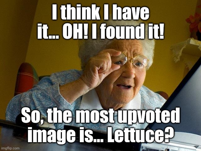 No matter how clever a meme is, it won't beat a random vegetable. | I think I have it... OH! I found it! So, the most upvoted image is... Lettuce? | image tagged in memes,meme,funny memes,funny,dank memes,imgflip | made w/ Imgflip meme maker