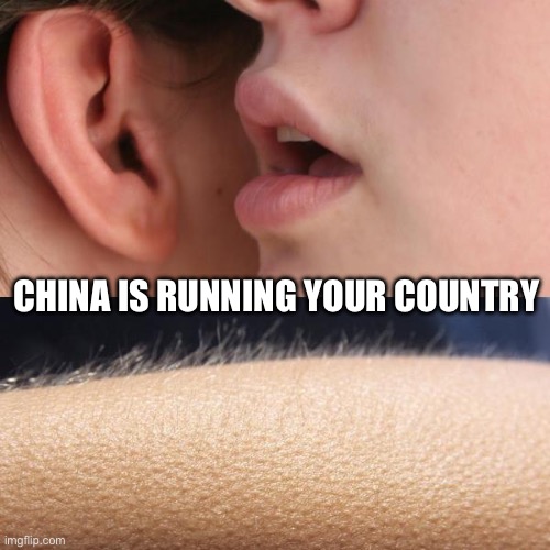 Your leader’s are compromised… | CHINA IS RUNNING YOUR COUNTRY | image tagged in germany,france,italy,england,ukraine,canada | made w/ Imgflip meme maker