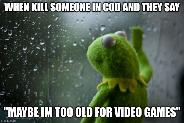 kermit window | WHEN KILL SOMEONE IN COD AND THEY SAY; "MAYBE IM TOO OLD FOR VIDEO GAMES" | image tagged in kermit window | made w/ Imgflip meme maker