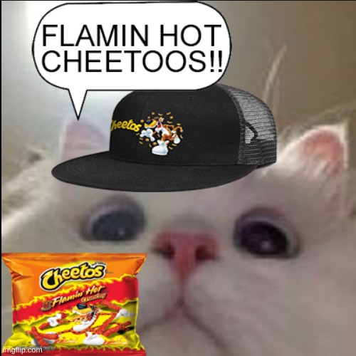 my current snack. P.S bruh flamin hot cheetos aint even hot | image tagged in flamin hot cheetoos | made w/ Imgflip meme maker