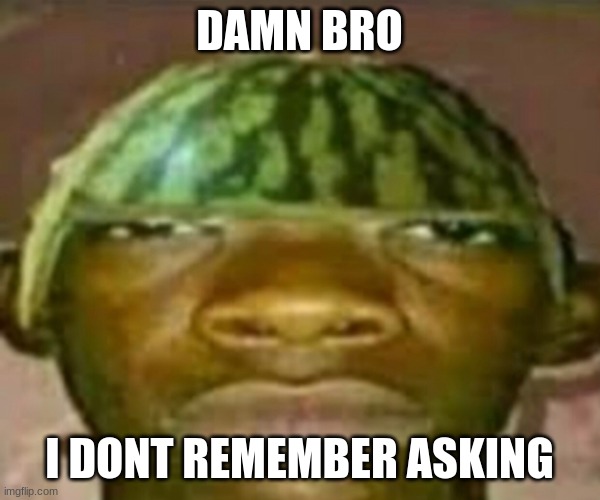 Wow that’s crazy my guy but when did I ask | DAMN BRO I DONT REMEMBER ASKING | image tagged in wow that s crazy my guy but when did i ask | made w/ Imgflip meme maker