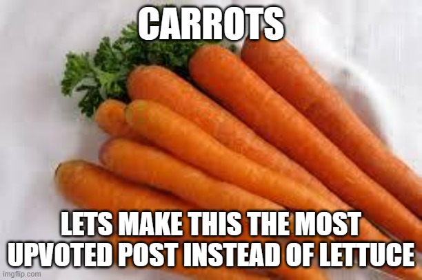 Carrots | CARROTS; LETS MAKE THIS THE MOST UPVOTED POST INSTEAD OF LETTUCE | image tagged in carrots | made w/ Imgflip meme maker