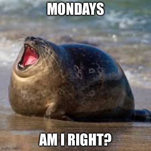 Mondays | MONDAYS; AM I RIGHT? | image tagged in fat seal | made w/ Imgflip meme maker