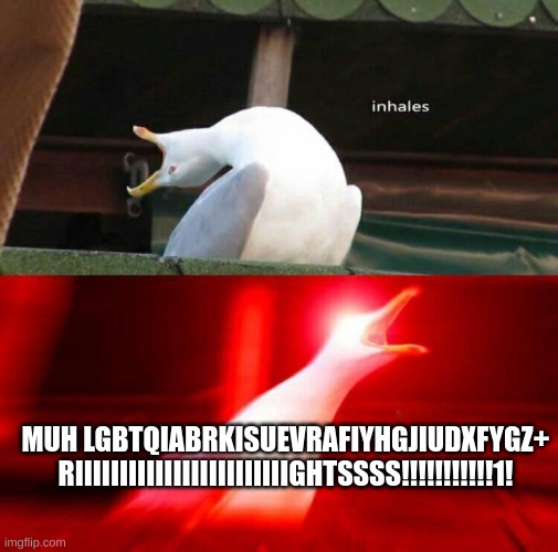 Inhaling Seagull  | MUH LGBTQIABRKISUEVRAFIYHGJIUDXFYGZ+ RIIIIIIIIIIIIIIIIIIIIIIIIGHTSSSS!!!!!!!!!!!1! | image tagged in inhaling seagull | made w/ Imgflip meme maker