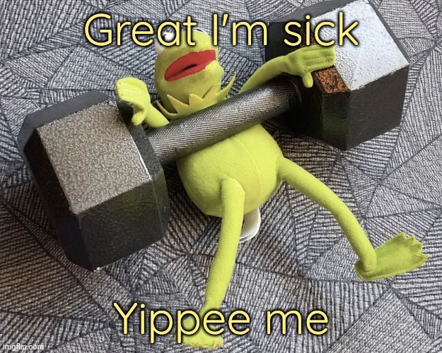 I just got sick like two weeks ago | Great I'm sick; Yippee me | image tagged in the_one_who_knocks27 temp 5 | made w/ Imgflip meme maker
