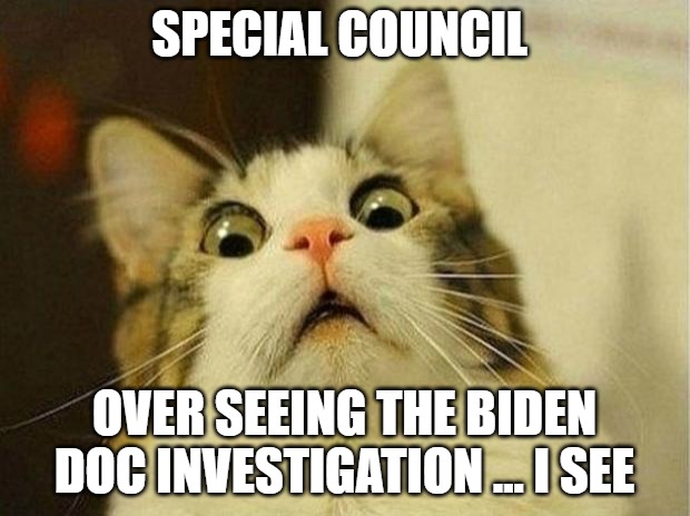 Daily News: Nothing to See Here | SPECIAL COUNCIL; OVER SEEING THE BIDEN DOC INVESTIGATION ... I SEE | image tagged in memes,scared cat,politics,breaking news,funny cats | made w/ Imgflip meme maker
