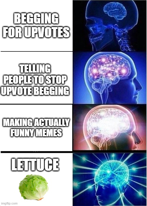 lettuce | BEGGING FOR UPVOTES; TELLING PEOPLE TO STOP UPVOTE BEGGING; MAKING ACTUALLY FUNNY MEMES; LETTUCE | image tagged in memes,expanding brain,lettuce,lmao,true | made w/ Imgflip meme maker