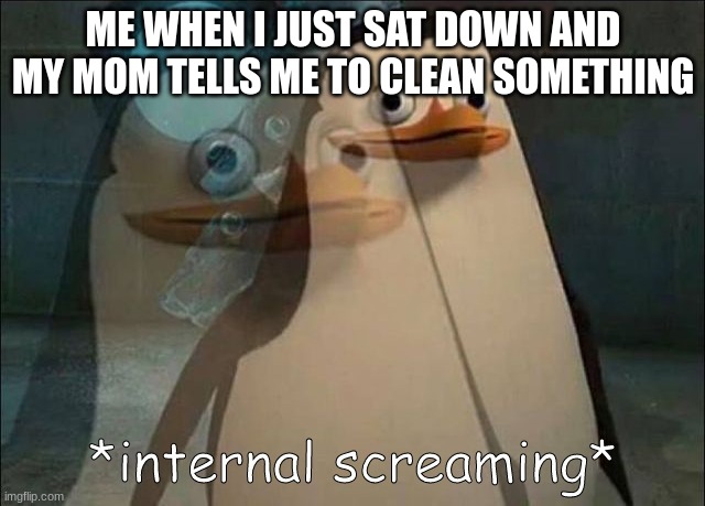 bro | ME WHEN I JUST SAT DOWN AND MY MOM TELLS ME TO CLEAN SOMETHING | image tagged in private internal screaming | made w/ Imgflip meme maker