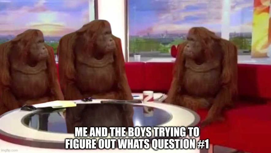 where monkey | ME AND THE BOYS TRYING TO FIGURE OUT WHATS QUESTION #1 | image tagged in where monkey | made w/ Imgflip meme maker