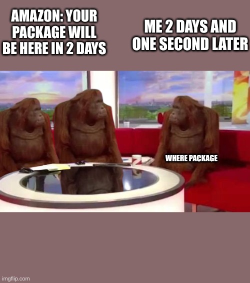 tooooo true | ME 2 DAYS AND ONE SECOND LATER; AMAZON: YOUR PACKAGE WILL BE HERE IN 2 DAYS; WHERE PACKAGE | image tagged in where monkey | made w/ Imgflip meme maker