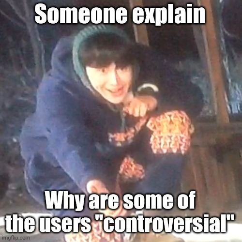 w | Someone explain; Why are some of the users "controversial" | image tagged in w | made w/ Imgflip meme maker