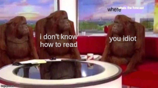 idiot |  whats the forecast; i don't know how to read; you idiot | image tagged in where banana blank | made w/ Imgflip meme maker