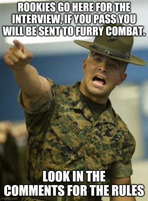 Welcome! | ROOKIES GO HERE FOR THE INTERVIEW, IF YOU PASS YOU WILL BE SENT TO FURRY COMBAT. LOOK IN THE COMMENTS FOR THE RULES | image tagged in drill instructor | made w/ Imgflip meme maker