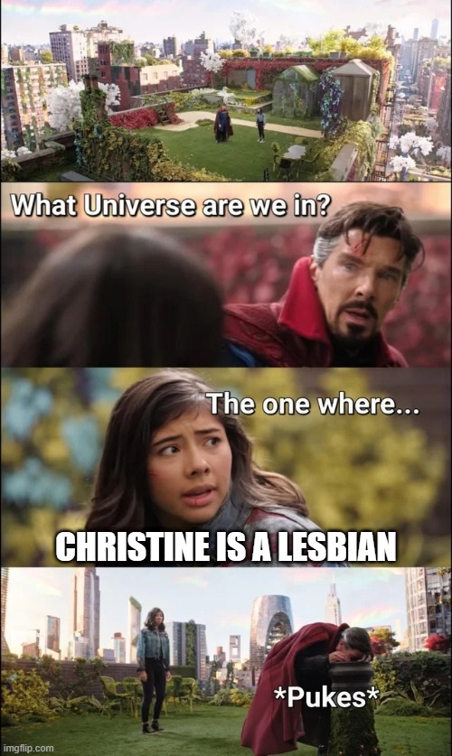 Not Gonna Love Her Now | CHRISTINE IS A LESBIAN | image tagged in america chavez and dr strange | made w/ Imgflip meme maker