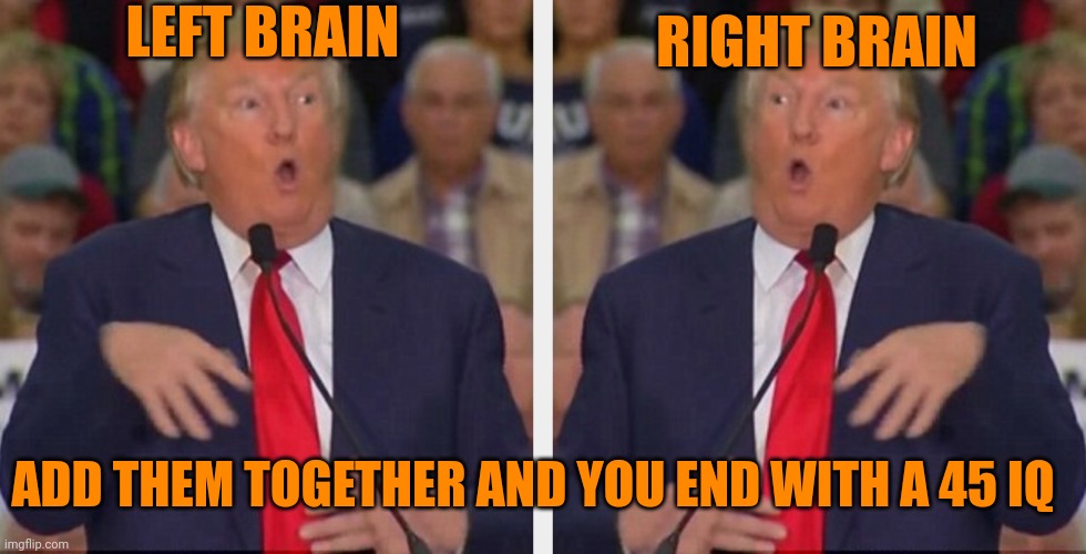 "Jenuis" | LEFT BRAIN; RIGHT BRAIN; ADD THEM TOGETHER AND YOU END WITH A 45 IQ | image tagged in donald trump tho | made w/ Imgflip meme maker