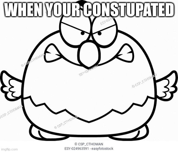 constupated bald eagle | WHEN YOUR CONSTUPATED | image tagged in bald eagle | made w/ Imgflip meme maker