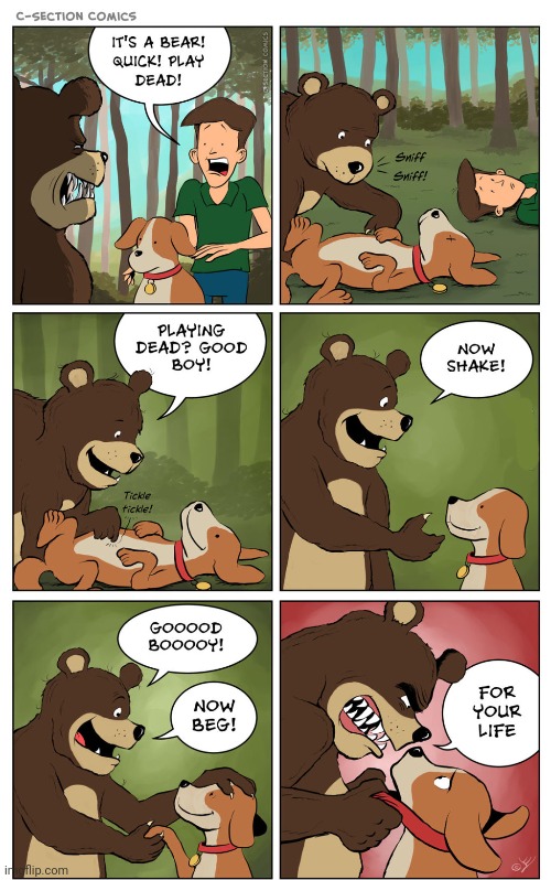 Bear | image tagged in bears,bear,dogs,dog,comics,comics/cartoons | made w/ Imgflip meme maker